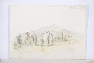 In der Nähe von New Abbey von Daniel Oliver